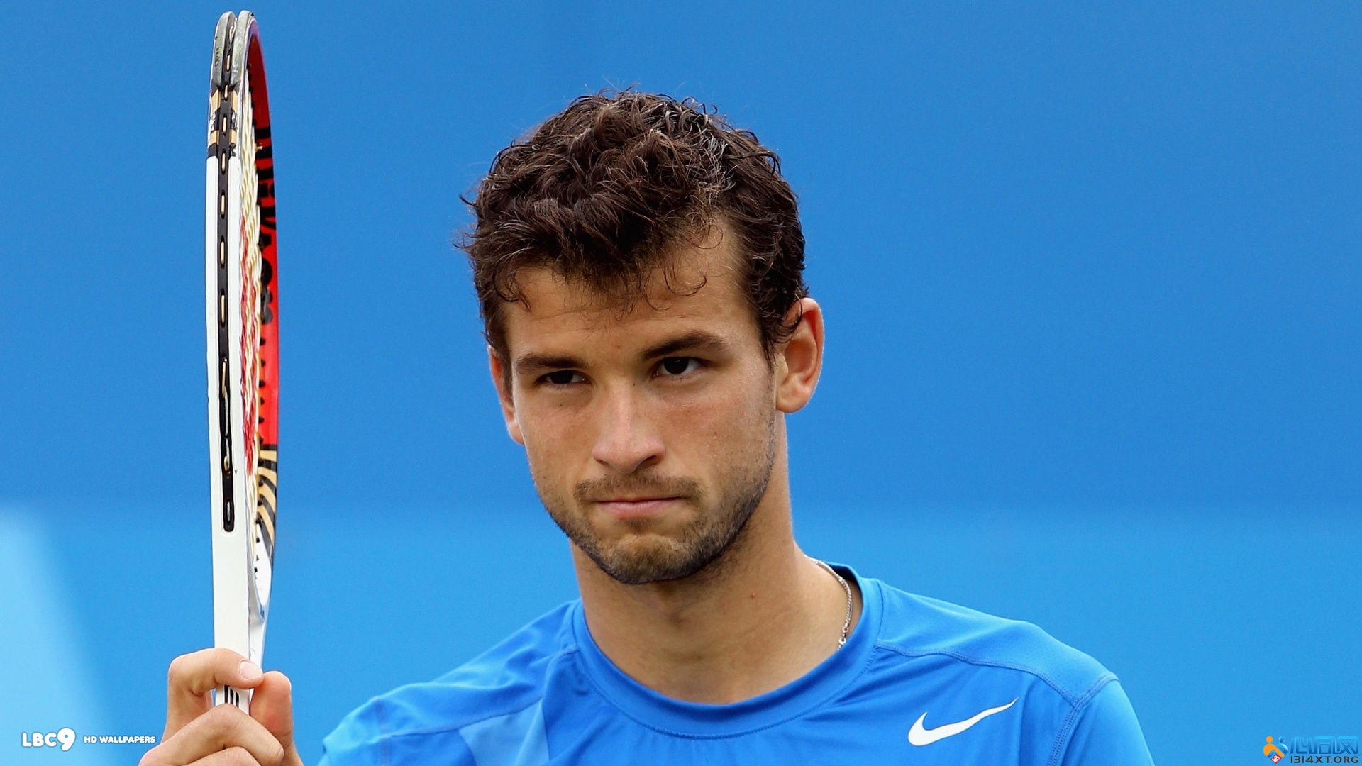 大的亮点就 大的亮点就